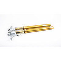 Horquilla Ohlins RT 43 Nix CBR1000RR-R 2020