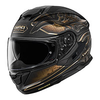 Shoei Gt Air 3 Nile TC-9 Helm braun