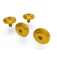 Dbk Mtsv4 Front Deflector Screws Kit Gold