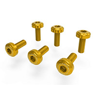 Dbk Mtsv4 Panel Screws Kit Gold