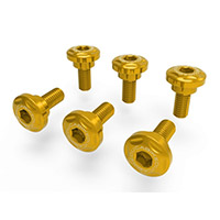 Dbk Mtsv4 Front Fender Screw Kit Gold