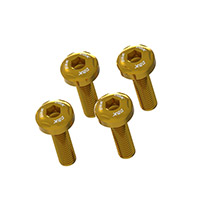 Dbk Hm 698 Upper Exhaust Cover Screw Gold