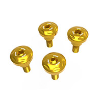 Dbk Hm 698 Frame Panels Screws Gold