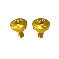 Dbk Hm 698 Right Engine Cover Screws Gold