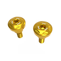 Dbk Hm 698 Front Fairing Screws Gold