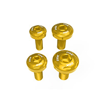 Dbk Hm 698 Frame Panel Screws Kit Gold