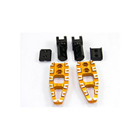 Dbk 05 Mtsv4 Passenger Pegs Gold