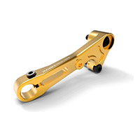 Ducabike Rplc19 Shift Lever Gold