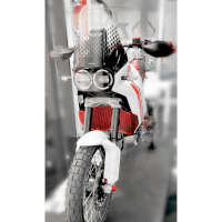 Ducabike H2o Radiator Guard Ducati Desertx Red