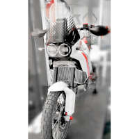 Ducabike H2o ラジエーター ガード Ducati DesertX グレー