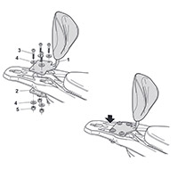 Shad Backrest Mount Kit Piaggio Mp3 310