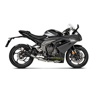 Akrapovic Racing Line Titan-Auspuff Trident 660 - 2