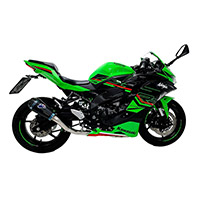 Echappement complet Termignoni acier titane ZX-4RR - 2